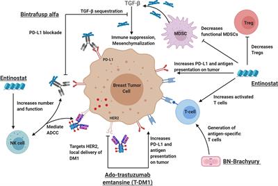 Improving the Odds in Advanced Breast Cancer With Combination Immunotherapy: Stepwise Addition of Vaccine, Immune Checkpoint Inhibitor, Chemotherapy, and HDAC Inhibitor in Advanced Stage Breast Cancer